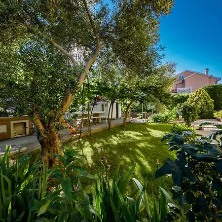 Sole * Barbat na Rabu