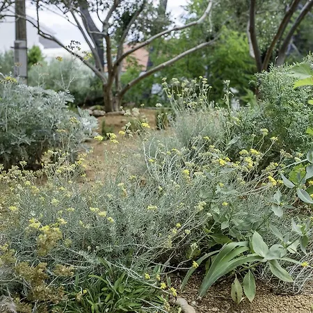 شقة Sole Barbat na Rabu