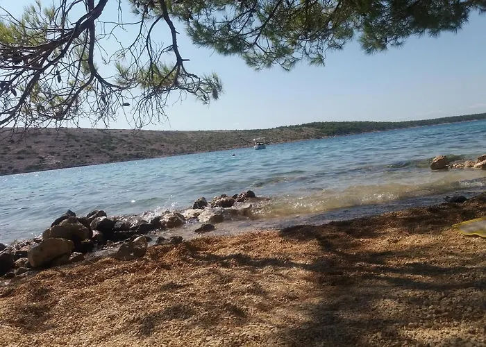 Sole Barbat na Rabu