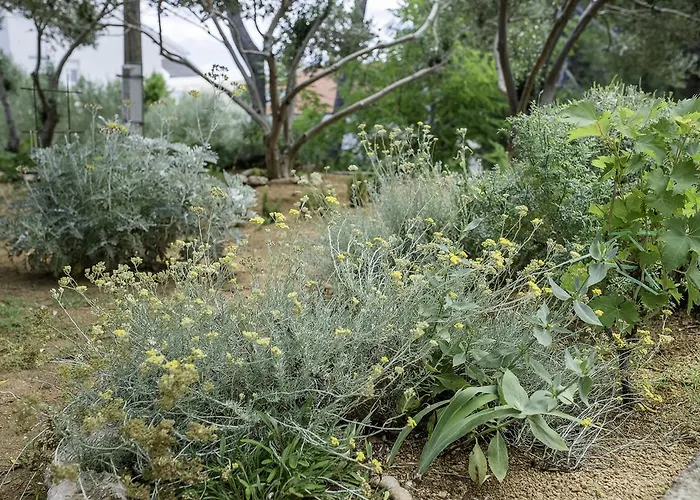 Appartement Sole Barbat na Rabu