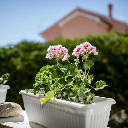 Apartment Sole Barbat na Rabu