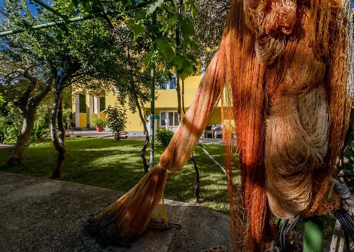 Sole * Barbat na Rabu