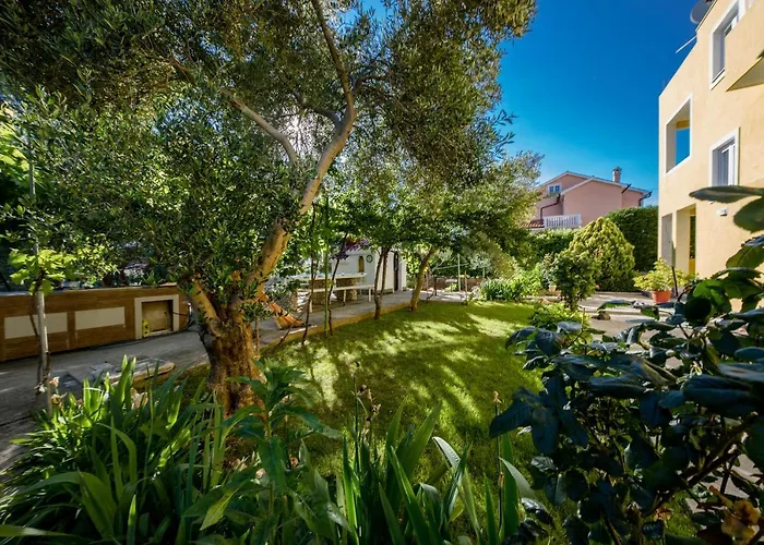 Sole * Barbat na Rabu